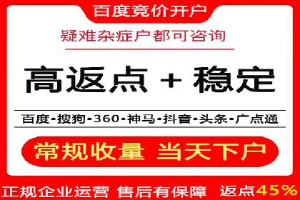 竞价推广策略：某电商平台的成功之路